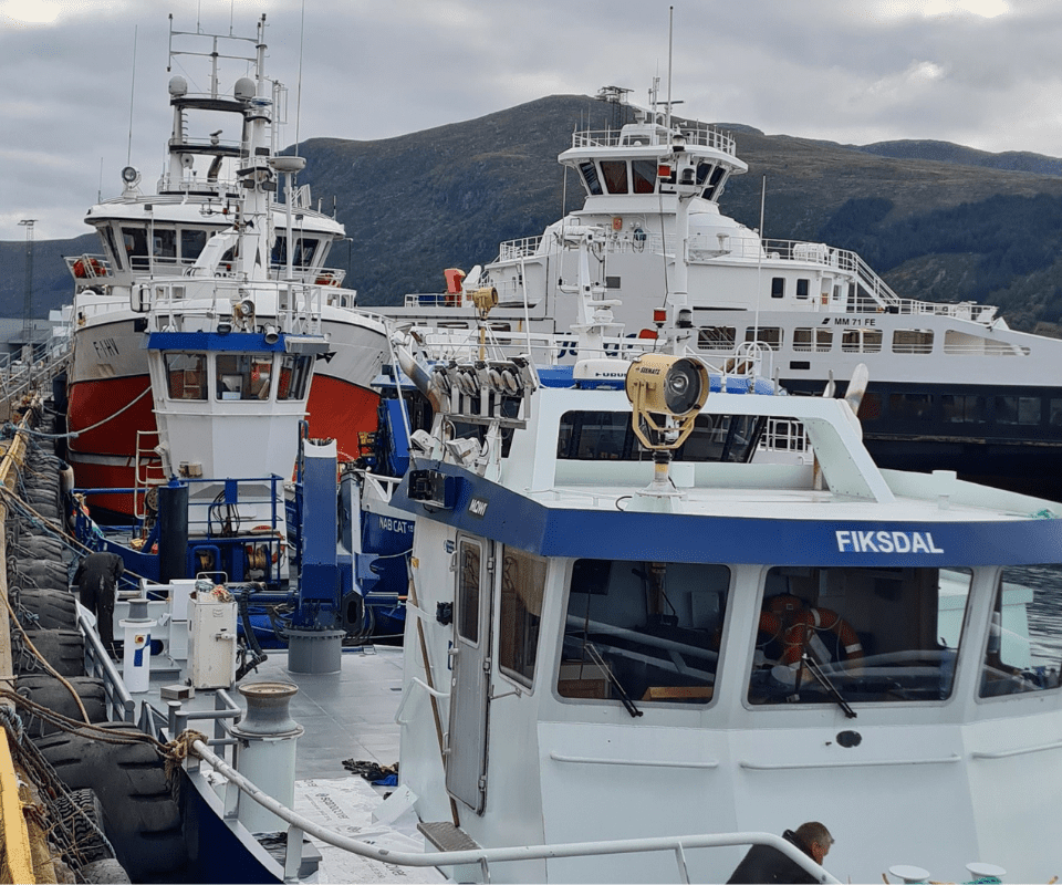 Anlegg Karusell (10)